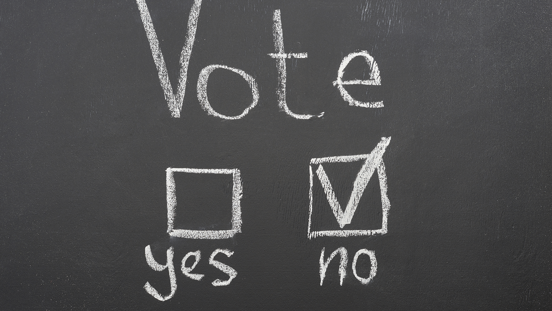 afstemning stemme nej vote no